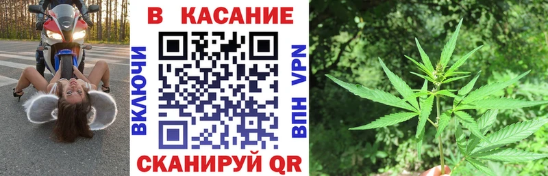Купить наркоту Кузнецк Бошки Шишки  Alpha PVP  Псилоцибиновые грибы  Меф  Гашиш 