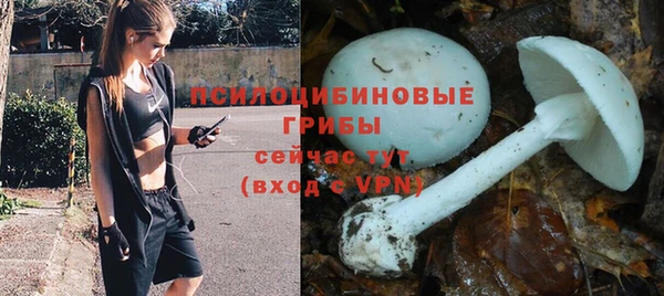 стафф Богородицк