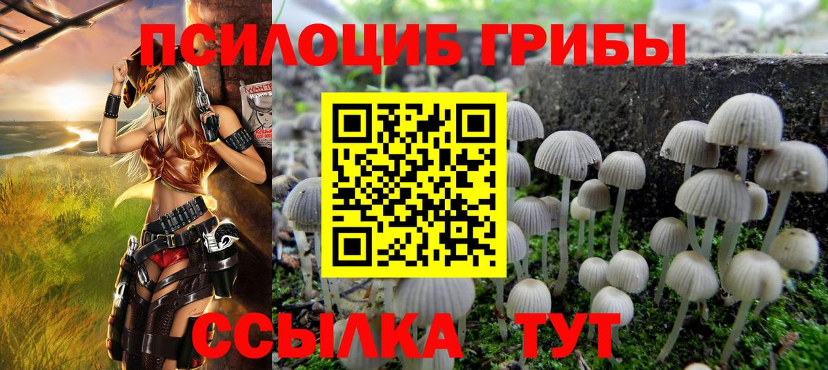 Псилоцибиновые грибы Cubensis Кузнецк