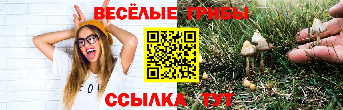 Кузнецк  Псилоцибиновые грибы мицелий  Вход с VPN 